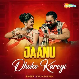 Jaanu Dhoko Karegi image