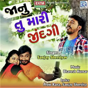 Janu Tu Mari Zindagi image