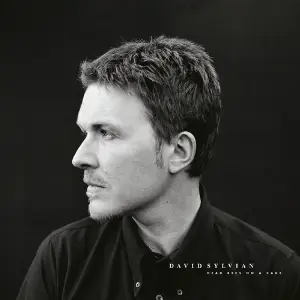 Dead Bees On A Cake (Deluxe Edition) David Sylvian