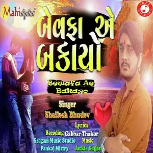 Bewafa Ae Bakayo Ft. Shailesh Bhudev image