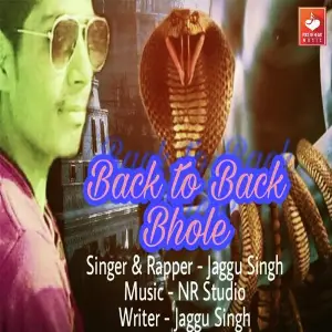 Back To Back Bhole image