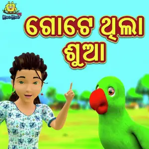 Gote Sundara Sua image