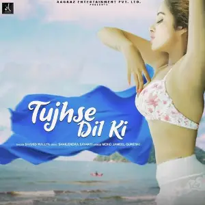 Tujhse Dil Ki image