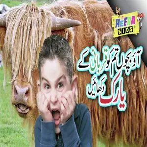 Aou Bacho Tumko Qurbani Ki Yake Dikhaye image