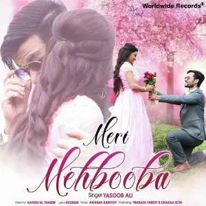 Meri Mehbooba image