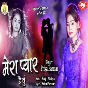 Mera Pyaar Hai Tu image