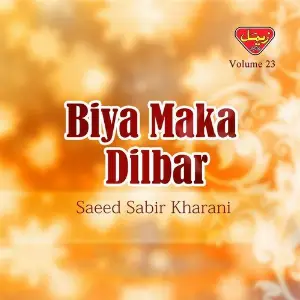 Biya Maka Dilbar, Vol. 23 image