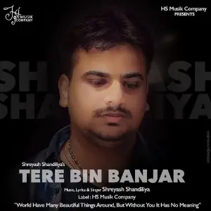 Tere Bin Banjar image