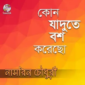 Kon Jadute Bosh Korecho image