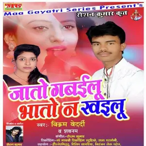 Jato Gabailu Bhato Na Khailu image