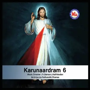 Karunaardram 6 image
