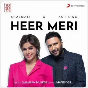Heer Meri image