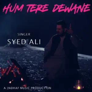 Hum Tere Dewane image