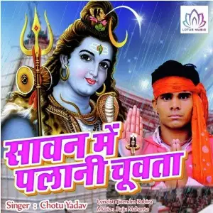 Saavn Mein Palani Chuvata image