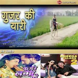 Gujjar Ki Yaari image