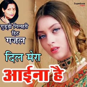 Dil Mera Aaina Hai image