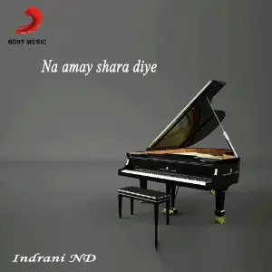 Na Amay Shara Diye - Single image