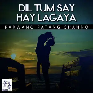 Dil Tum Say Hay Lagaya image