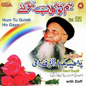 Hum Tu Gulab Ho Gaye, Vol. 22 image