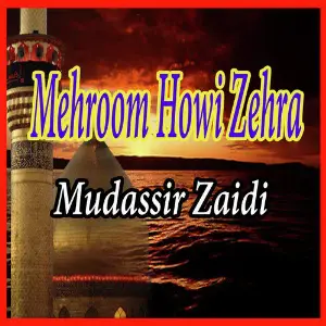 Mehroom Howi Zehra - Single image
