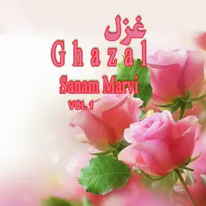 Ghazal, Vol. 1 image