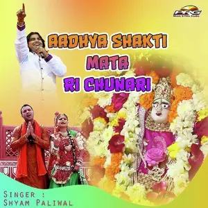 Aadhya Shakti Mata Ri Chunari image