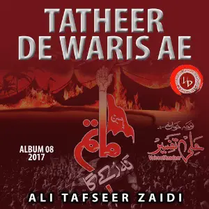 Tatheer De Waris Ae, Vol. 8 image