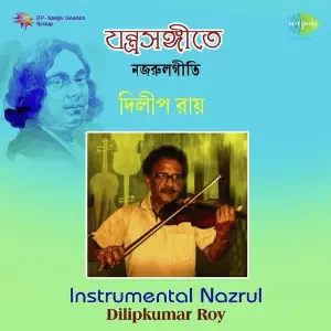 Instrumental Nazrul Dilip Roy image