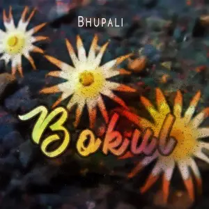 Bokul image
