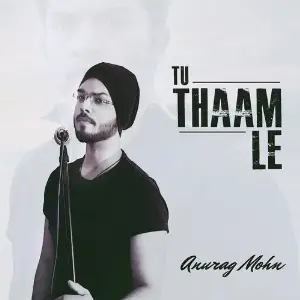 Tu Thaam Le image