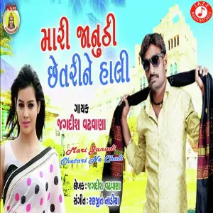 Mari Janudi Chetari Ne Chali Re image