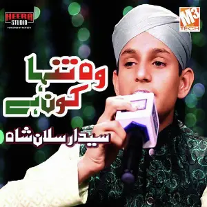 Wo Tanha Kaun Hai - Single image