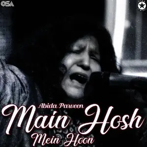 Main Hosh Mein Hoon image