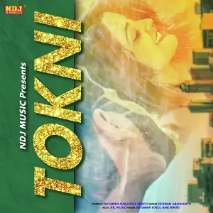 Tokni image