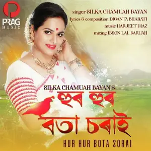 Hur Hur Bota Sorai image