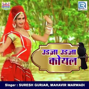 Aap Gajanand Ke Chala Ke Chala Suresh Gurjar, Mahavir Marwadi