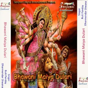Bhawani Maiya Dulari image