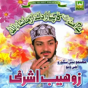 Hai Amna Ka Piyara Dildar image