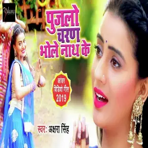 Deewani Bhole Naath Ke image