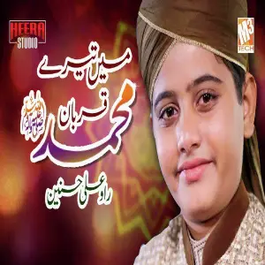 Main Tere Qurban Muhammad - Single image
