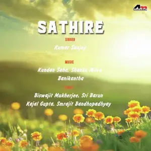 Sathire image