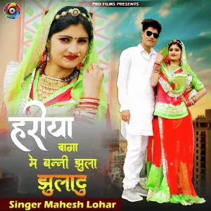 Hariya Baga Me Banni Jula Juladu image