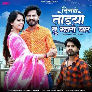 Dildo Todyo Tu Mharo Yaar image