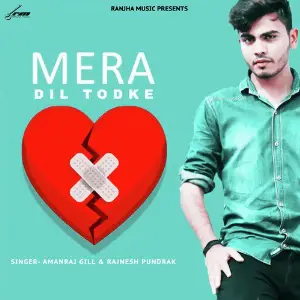 Mera Dil Tod Ke - Single image