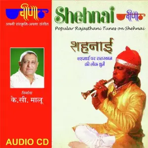Shehnai image