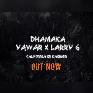 Dhamaka 