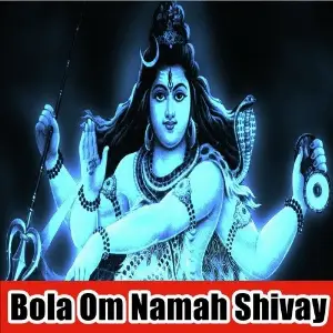 Bola Om Namah Shivay image