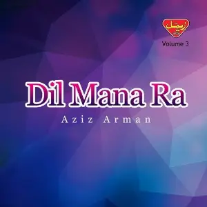 Dil Mana Ra, Vol. 3 image