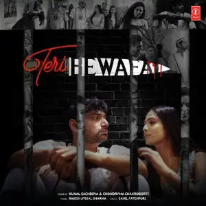 Teri Bewafai image