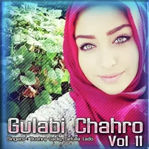 Gulabi Chahro Vol. 11 image